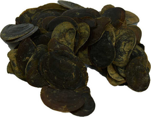 Cin Tırnağı 100 Gr Paket