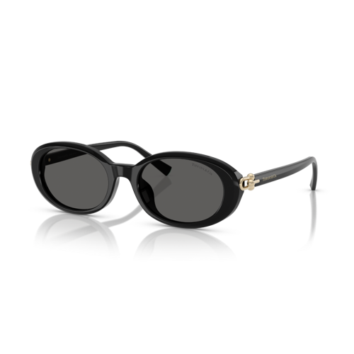 TF 4242D 8361S4 54 Tiffany & Co. Güneş Gözlüğü
