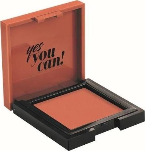 PROFASHION CREAM BLUSH 47