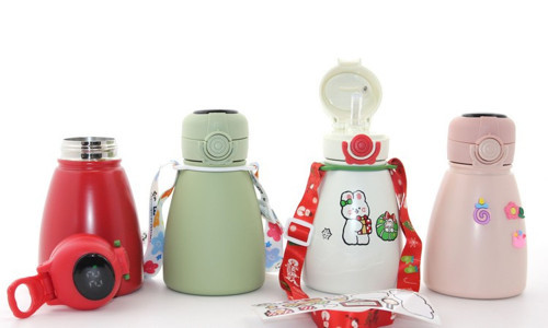 Digital Göstergeli Çift Katmanlı Termos Suluk 500 Ml