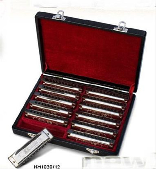 HM1020-12 Mızıka Seti (12'li) | Farklı Tonlar - Okullar İçin Toplu Set - Kutulu