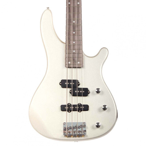 ABG2-GR Bas Gitar - Gri (Başlangıç/Orta - P-Bass Tipi) | Modern Metalik Gri Finish, Güçlü Alt Frekanslar, 20 Perde