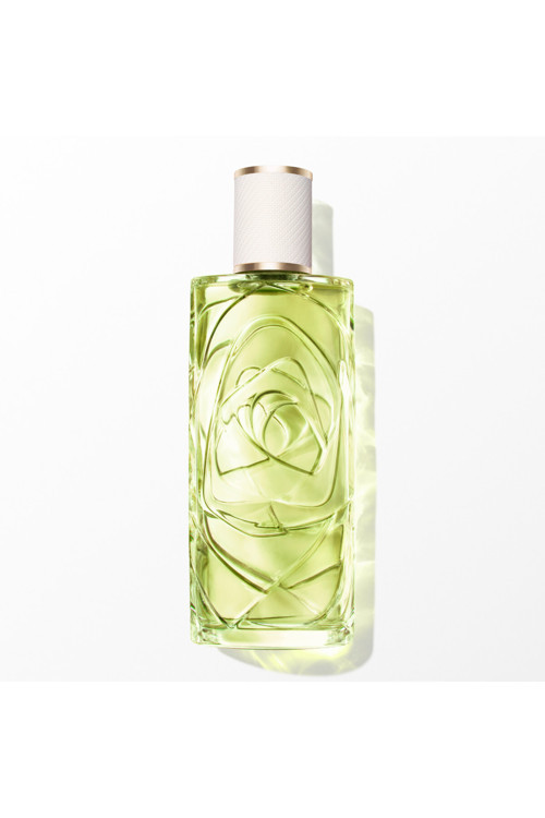 Ô Off Now EDT Odunsu ve Aromatik Kadın Parfüm 100 ml 3614274380415