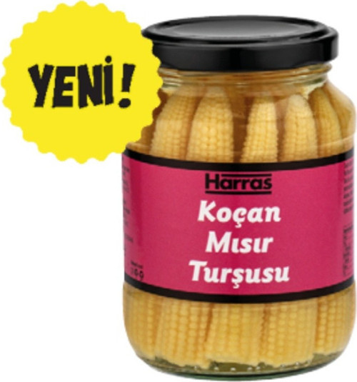 Bebek Koçan Mısır Turşusu