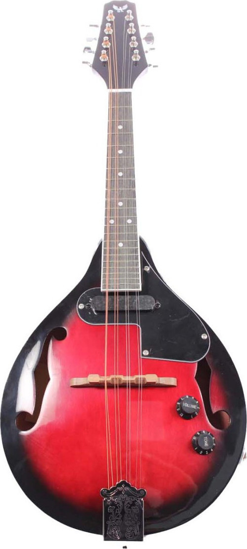 AMD11-E Elektro Mandolin | F Delikli Manyetikli Sahne Mandolini