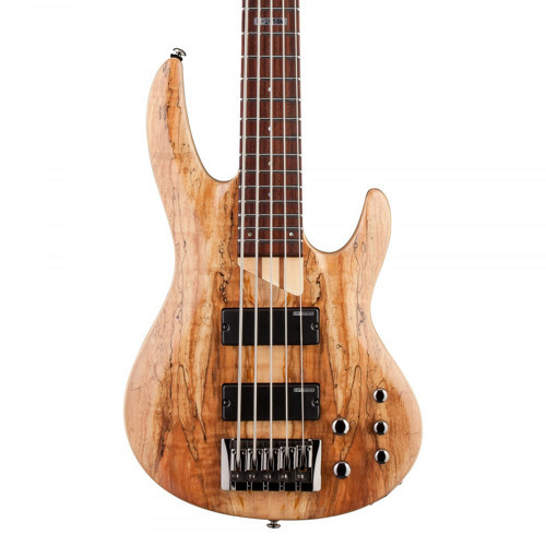 LB205SMNS B-205 5 Telli Bas Gitar | Geniş Ton Aralığı Aktif Ekolayzer