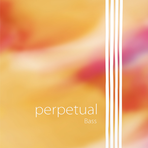 345020 Perpetual Kontrbas Tel Seti | Esnek Çelik Çekirdek Modern Caz Tonu
