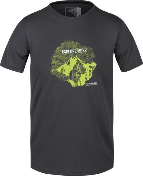 Fingal V Erkek T-Shirt-GRİ