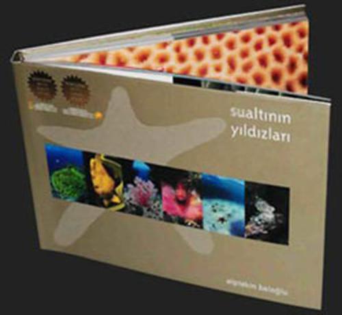 Sualtının Yıldızları