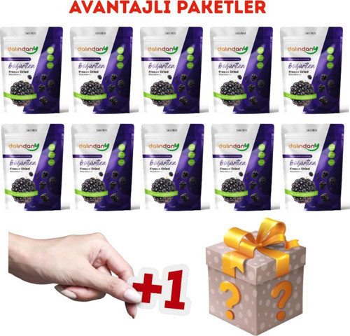 Dalindany Dondurularak Kurutulmuş Meyve 10'Lu Böğürtlen Paketi