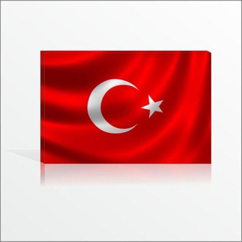 Dershane Devlet Dairesi Kurumlar İçin Türk Bayrağı Kanvas Tablo