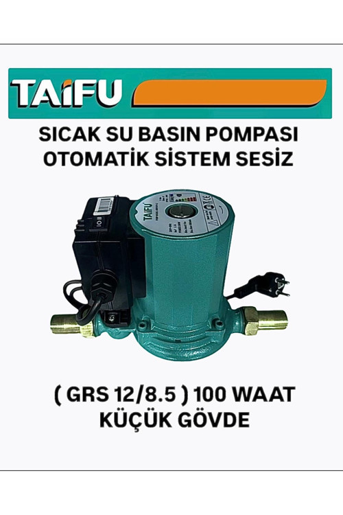 Grs 12/8.5 – 100 W Sıcak Su Basınç Pompası