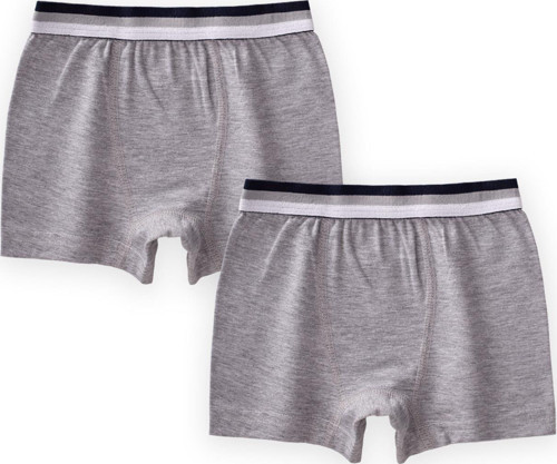İkili Boxer 2-9 Yaş Gri
