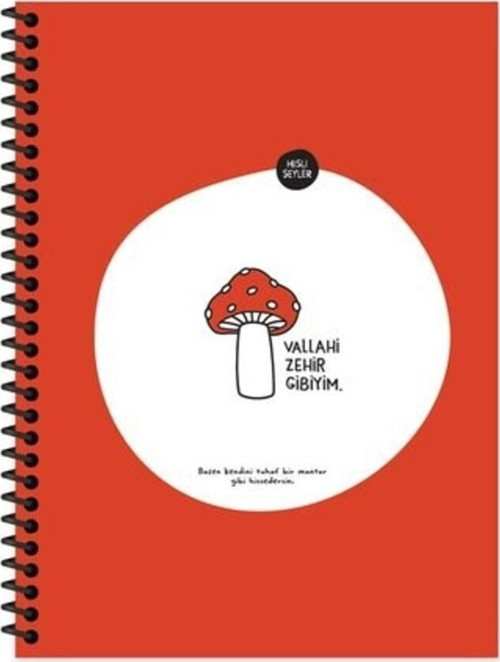 Hisli Şeyler 18,5X25 80 Yaprak Kareli Spiralli Karton Kapak Hafif Kağıt Stickerli Defter- Zehir Gibi