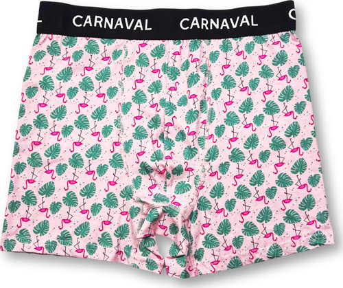 CARNAVAL Flamingo Desenli Premium Pamuklu Erkek Boxer -Pembe Renkli