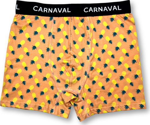 CARNAVAL Ananas Desenli Premium Pamuklu Erkek Boxer -Turuncu Renkli