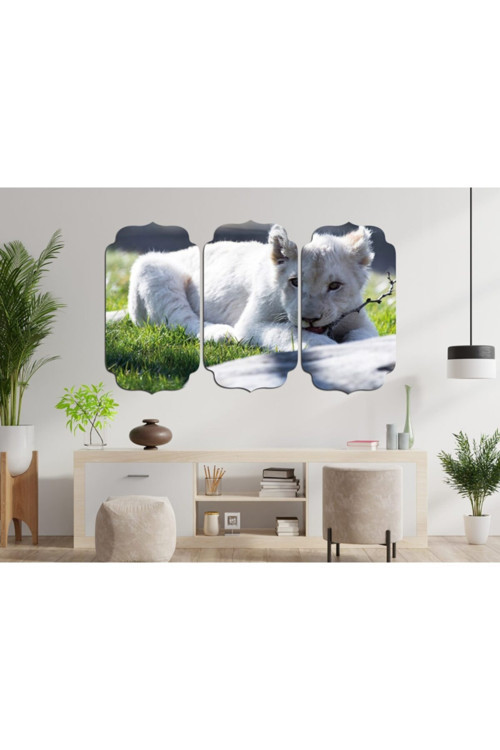 Aslan Mdf Tablo 2351 (Model D)