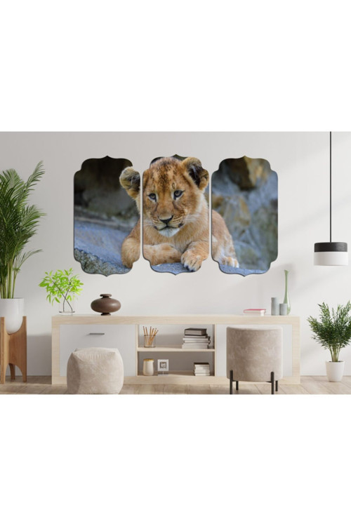 Aslan Mdf Tablo 2357 (Model D)