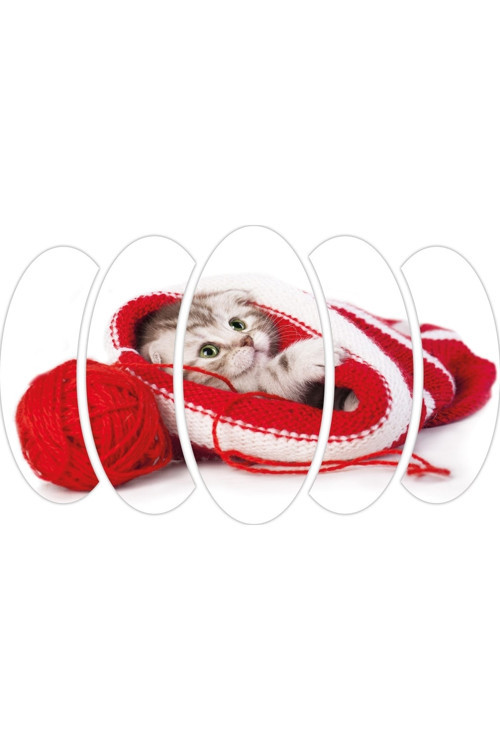 Kedi Mdf Tablo 2542 (Model A)