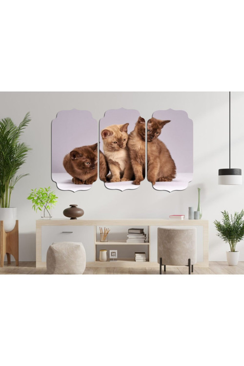 Kedi Mdf Tablo 2524 (Model D)