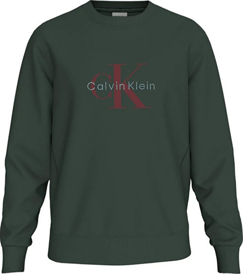 Erkek Sweatshirt-LV04RD234G