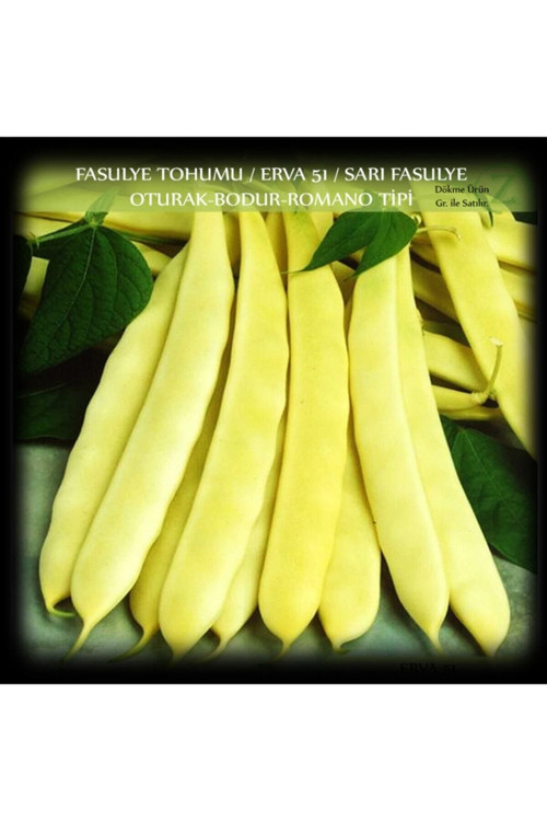 Fasülye Tohumu 2 Kg. (5000+ Adet) Erva51 Sarı Özel Fasulye Tohumu