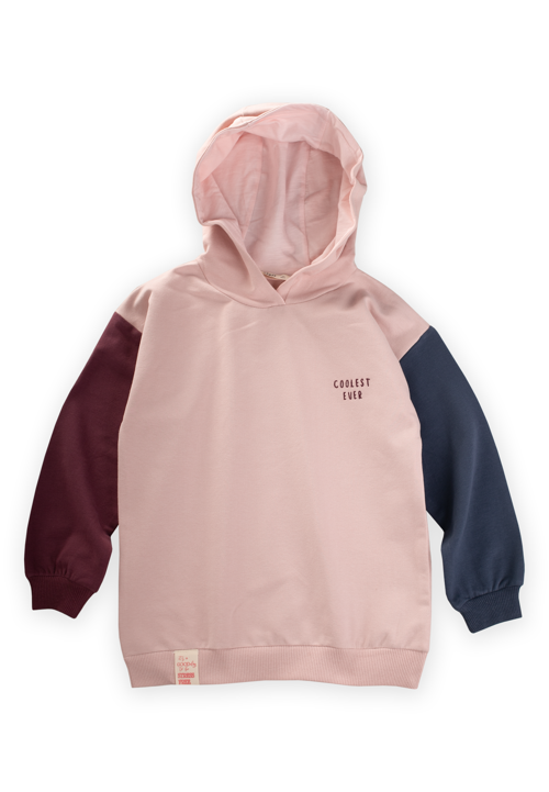 Multicolor Sweatshirt 5-12 Yaş Pudra
