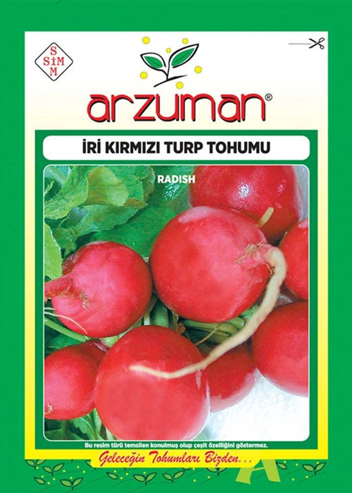 İri Kirmizi Turp Tohumu 25 Gr