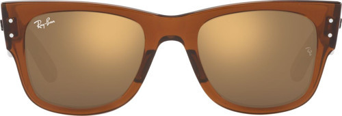 RAYBAN 0840S 663693 51 Güneş Gözlüğü