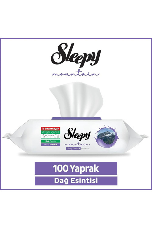 8 Adet Mountain Yüzey Temizlik Havlusu Dağ Esintisi 100 Lü
