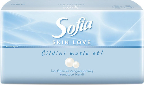 Skin Love Mendil 100'Lü 5 Adet