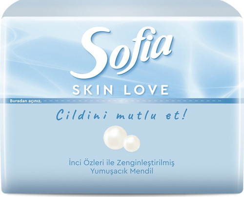 Skin Love Mini Mendil 75'Li 5 Adet