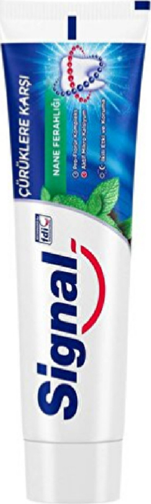 2 Adet Diş Macunu Çürüklere Karşı Nane 100 Ml