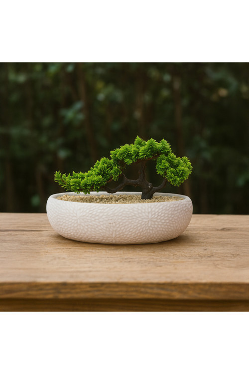 Desenli Elips Saksıda Bonsai - Renkli - 24X33 Cm