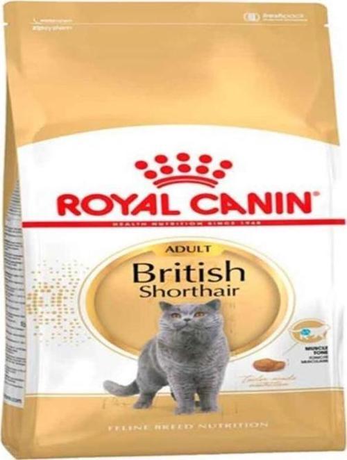 British Shorthair Kedi Maması 2 kg