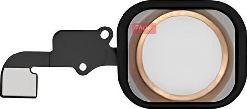 iPhone 6 Home Tuşu Flex GOLD - Lastikli Çerceveli
