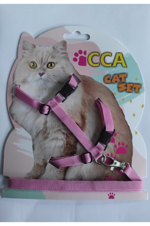 Cca Gato Tasma