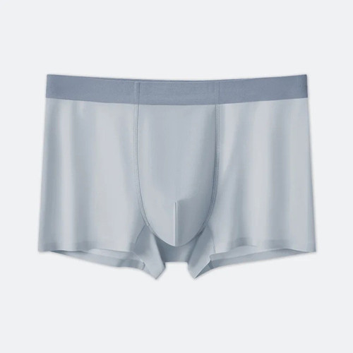 Dikişsiz Buz İpek Boxer