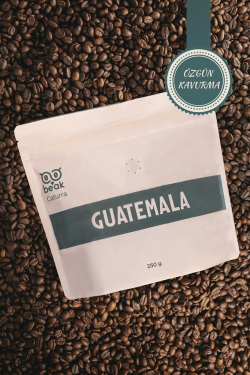 Guatemala Caturra Çekirdek Kahve 250 GR , %100 Arabica