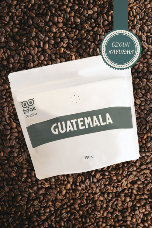 Guatemala Geisha Çekirdek Kahve 250 GR , %100 Arabica
