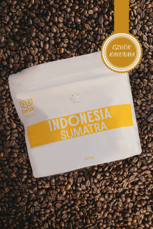 Indonesıa Sumatra Typica Çekirdek 250 GR , %100 Arabica