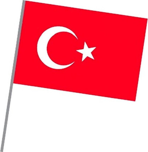 Vatan Sopalı Bez Bayrak Alpaka 20X30cm Türk Bayrağı - 6 adet