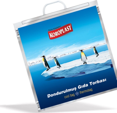 Dondurulmuş Gıda Torbası