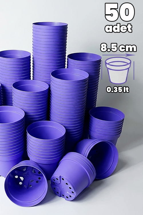 Kaktüs ve Sukulent Saksısı Bol Drenaj Delikli 8.5 cm çap Lila 50