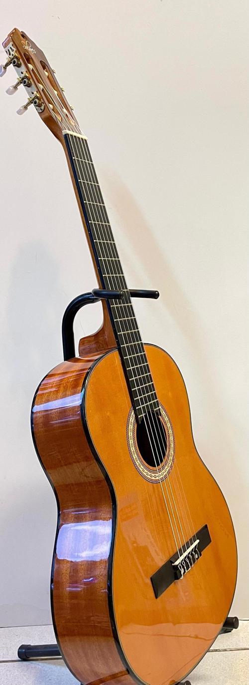 Profesyonel Klasik Gitar