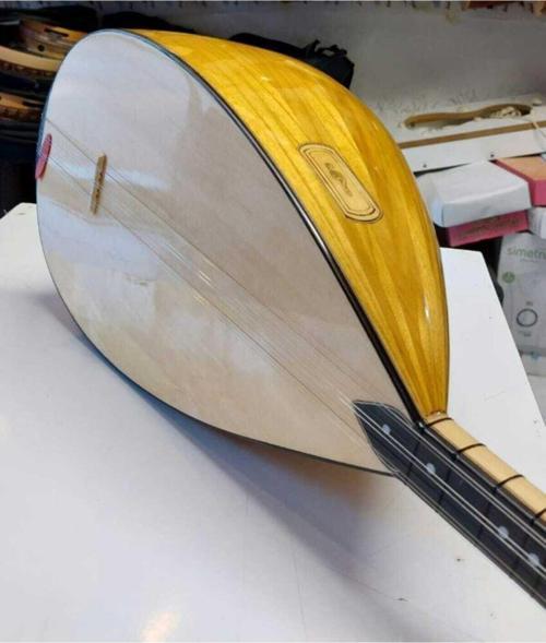 Profesyonel Uzun Sap Dut Bağlama