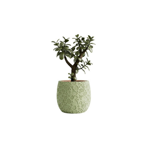 Spring-Relief: Kabartma Desenli Dekoratif Saksı