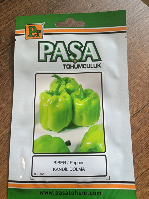 Biber Tohumu Kandil Dolma 5 gr