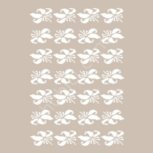 BN33 25x36 Cadence BN Serisisi Stencil