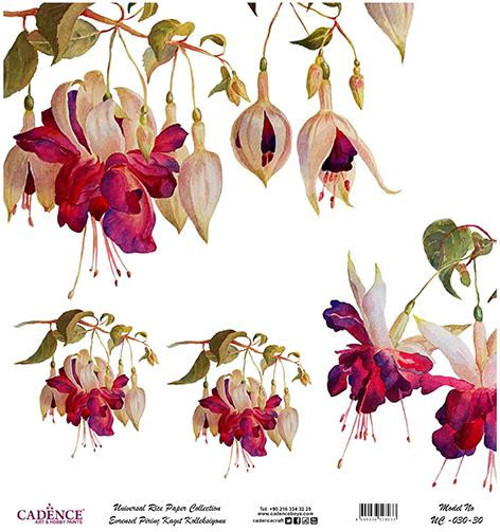Evrensel Pirinç Dekopaj Kağıdı - UC-030